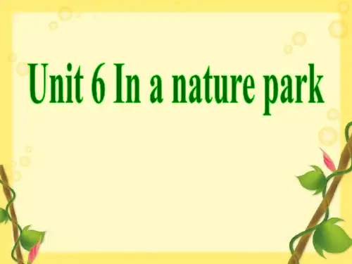 《In a nature park》PPT课件4