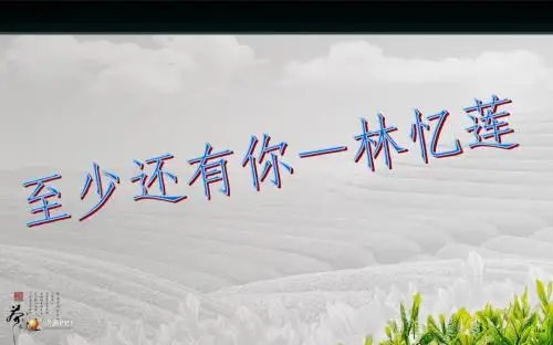 至少还有你