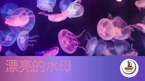 美丽的水母——3-6岁——少儿美术课件PPT