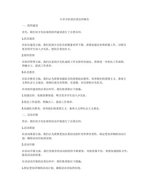 小学少队部自查自纠报告
