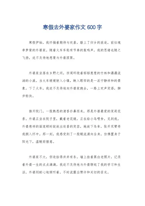 寒假去外婆家作文600字