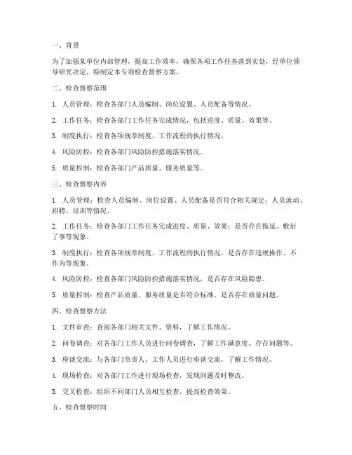 专项检查督察方案范文