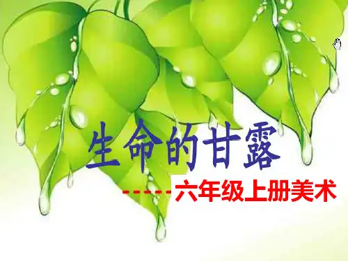 (精选)六年级美术上册第9课生命的甘露PPT课件4湘美版