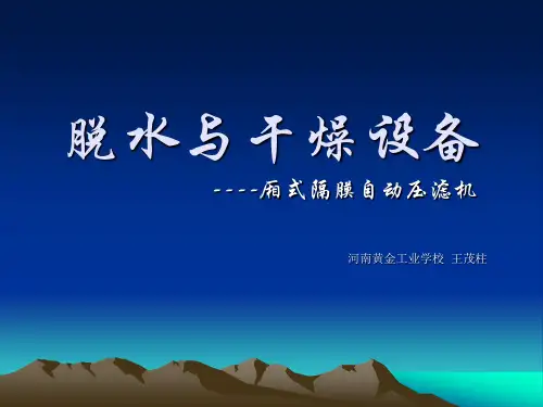 厢式隔膜自动压滤机