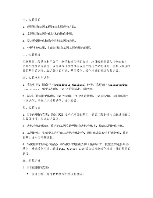 植物工程实验报告