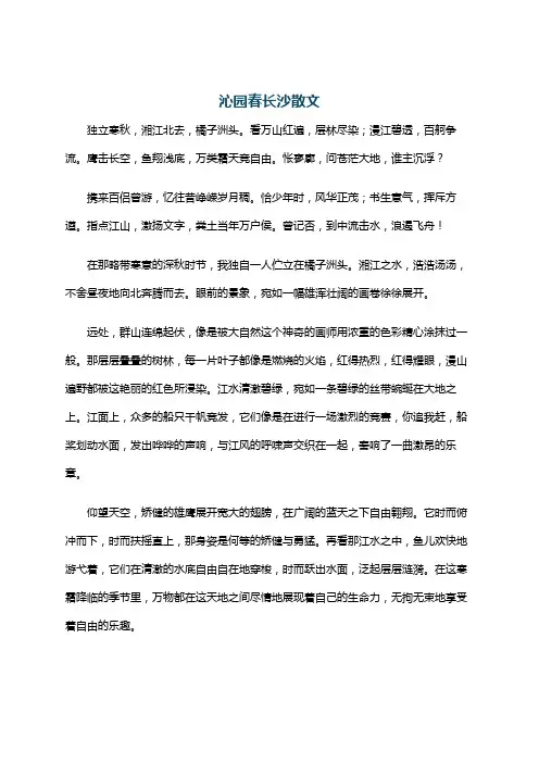 沁园春长沙散文