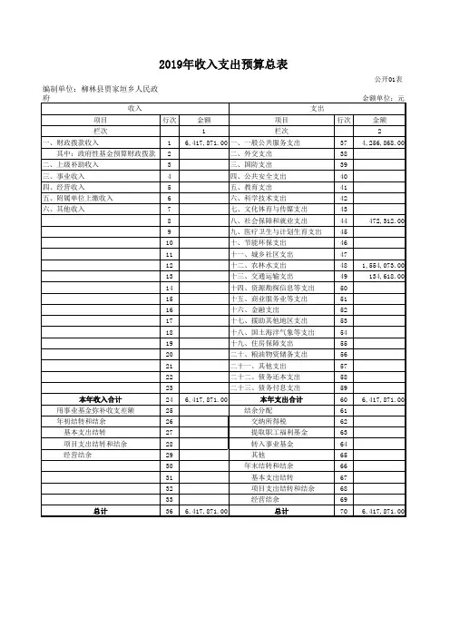 01收入支出预算总表