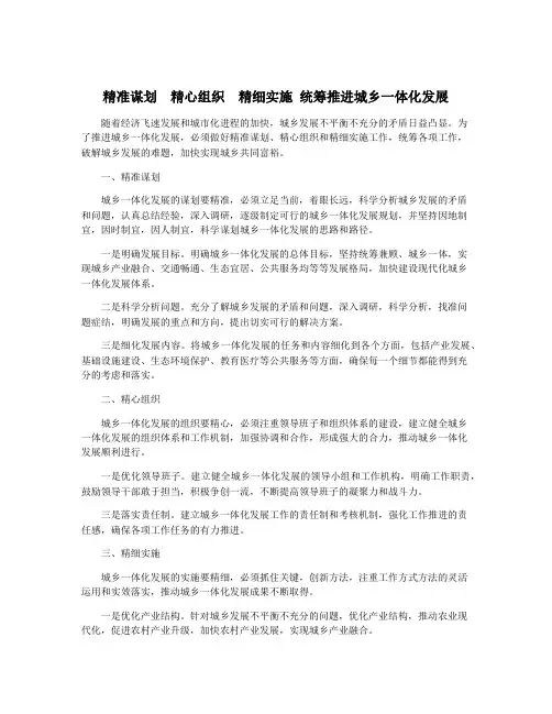 精准谋划 精心组织 精细实施 统筹推进城乡一体化发展