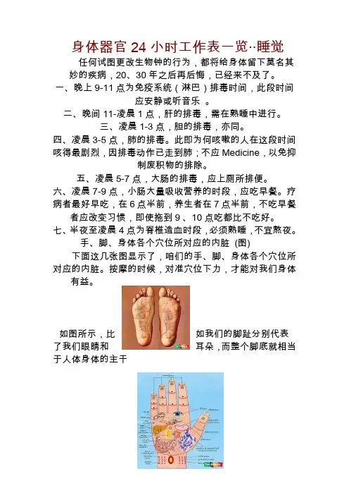 身体器官24小时工作表一览