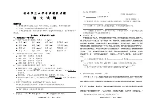 初中学业水平考试模拟试题