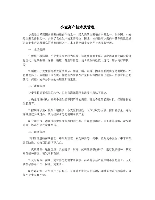 小麦高产技术及管理