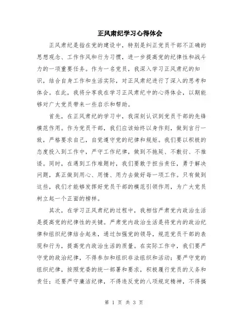 正风肃纪学习心得体会