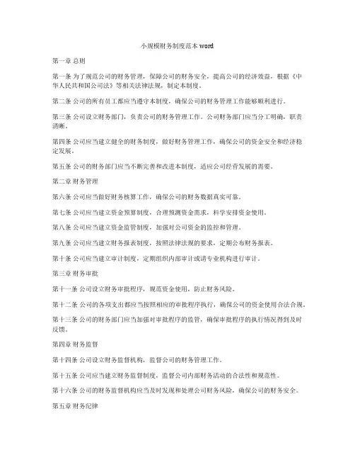 小规模财务制度范本word