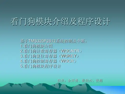 DSP课件-看门狗