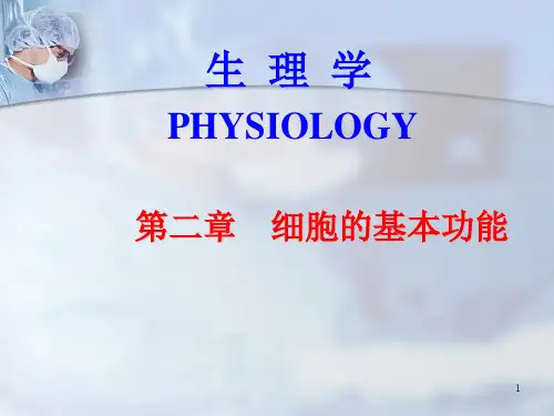 神经肌肉接头处的兴奋传递ppt课件