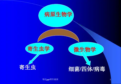 医学寄生虫学总论PPT课件