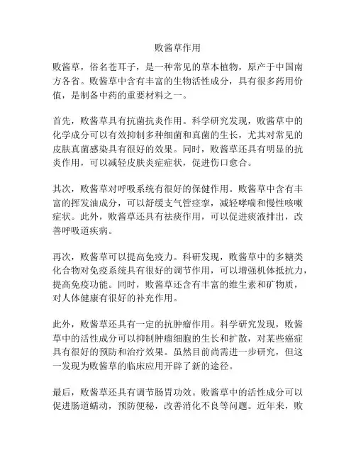 败酱草作用
