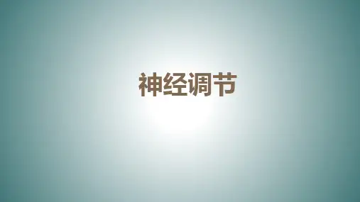浙教版科学八年级上册3.3神经调节(课件 16张PPT)