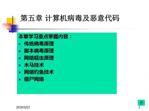 第五章计算机病毒及恶意代码