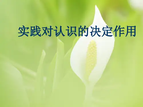 实践对认识的决定作用ppt教学课件