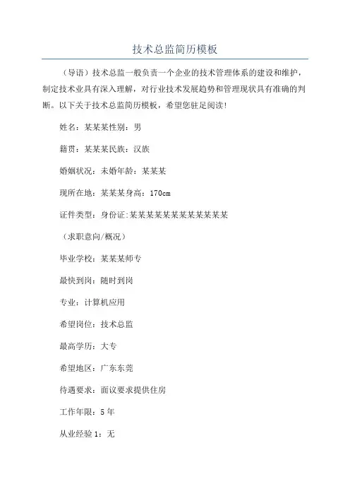 技术总监简历模板