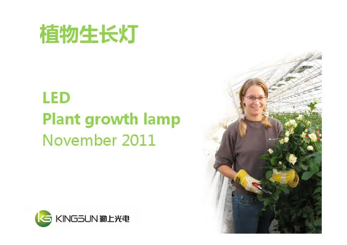 植物生长灯