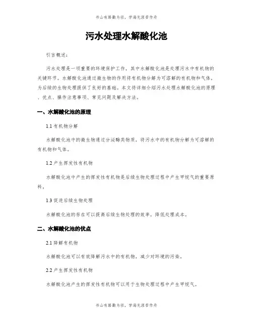 污水处理水解酸化池
