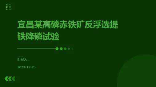 宜昌某高磷赤铁矿反浮选提铁降磷试验
