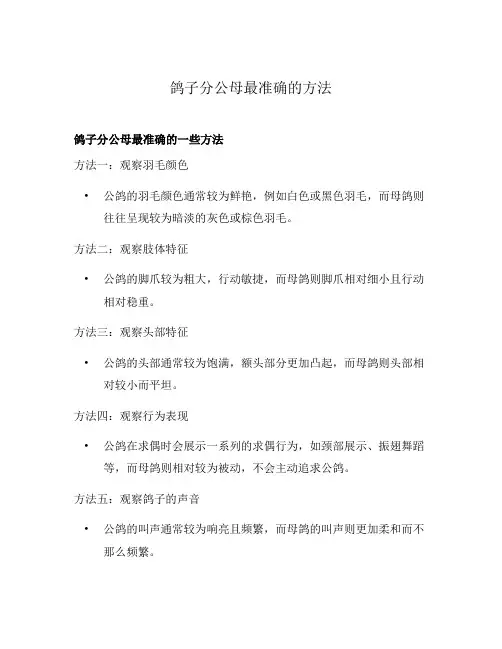 鸽子分公母最准确的方法