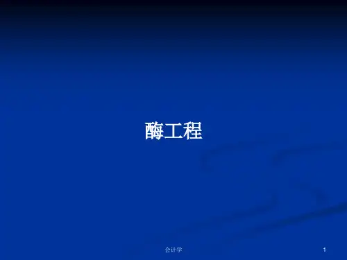 酶工程PPT学习教案