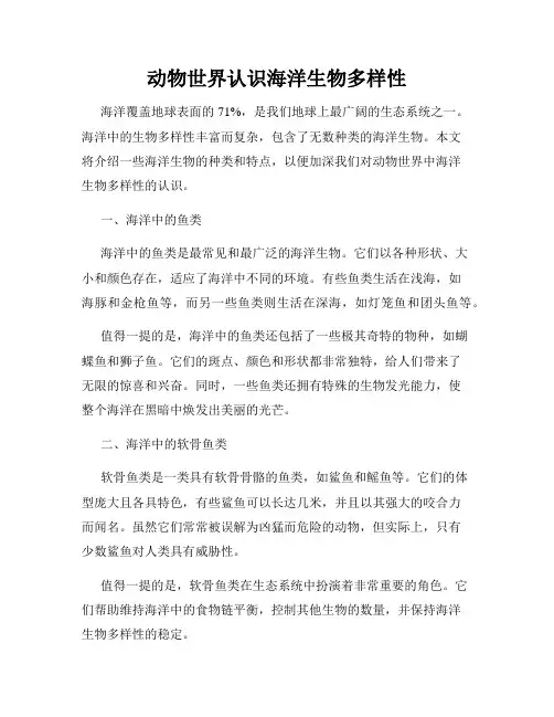 动物世界认识海洋生物多样性