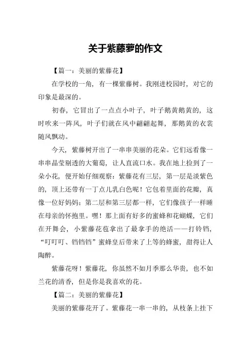 关于紫藤萝的作文