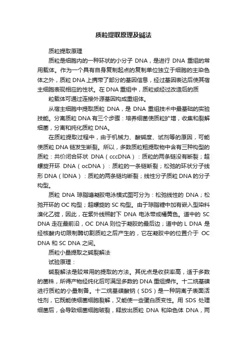 质粒提取原理及碱法