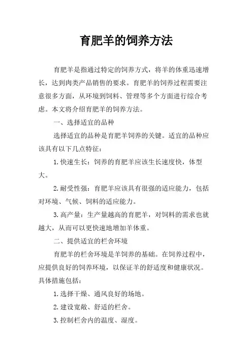 育肥羊的饲养方法