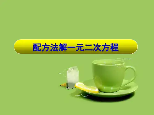 21.2.1配方法解一元二次方程 说课课件 人教版九年级数学上册