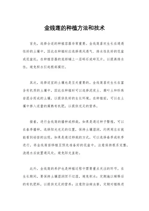 金线莲的种植方法和技术