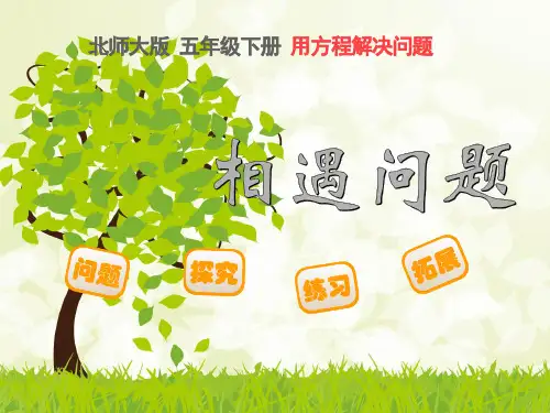 北师大版小学数学五年级下册用方程解决问题《相遇问题》PPT课件