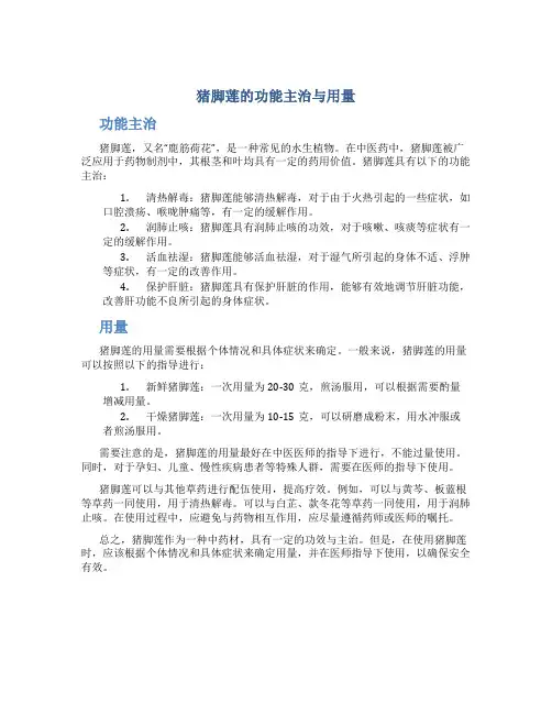 猪脚莲的功能主治与用量