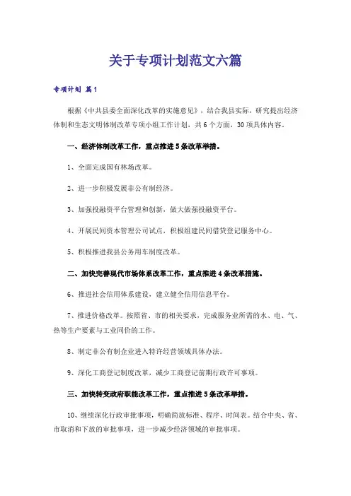 关于专项计划范文六篇