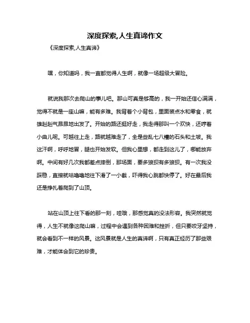 深度探索,人生真谛作文