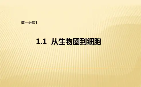 人教版高一生物必修一1.1从生物圈到细胞课件 (共40张PPT)