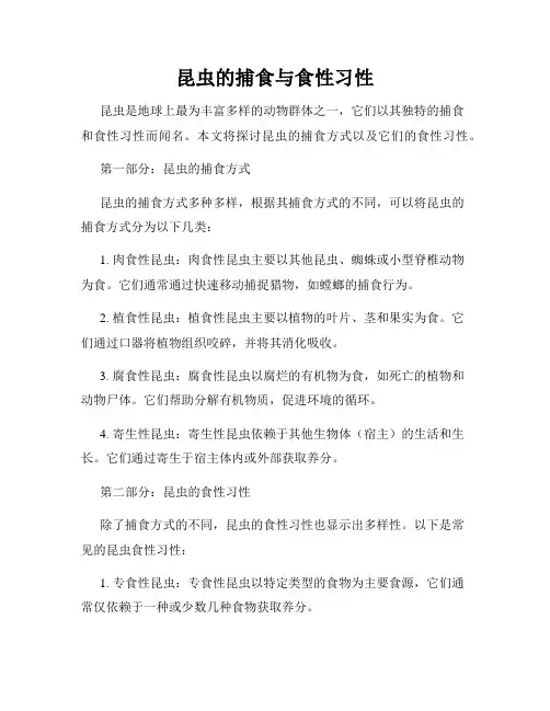昆虫的捕食与食性习性