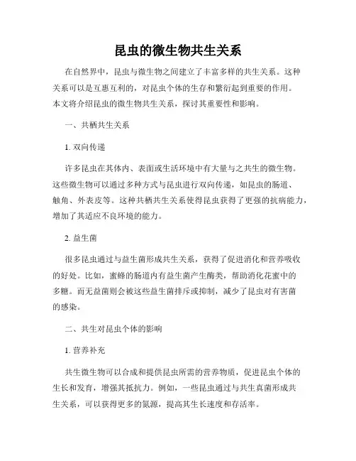 昆虫的微生物共生关系