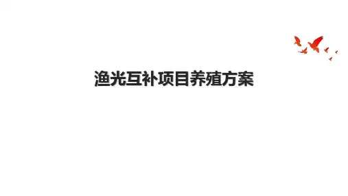 渔光互补项目养殖方案