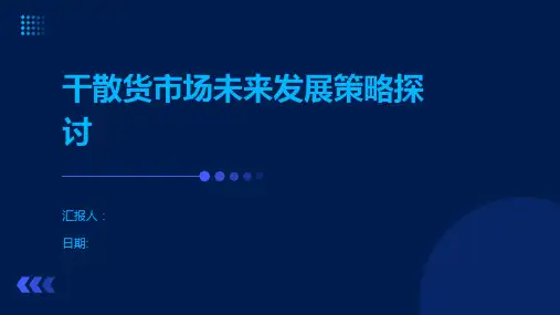 干散货市场未来发展策略探讨