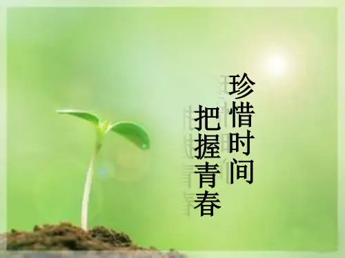 珍惜时间把握青春主题班会课精品PPT课件