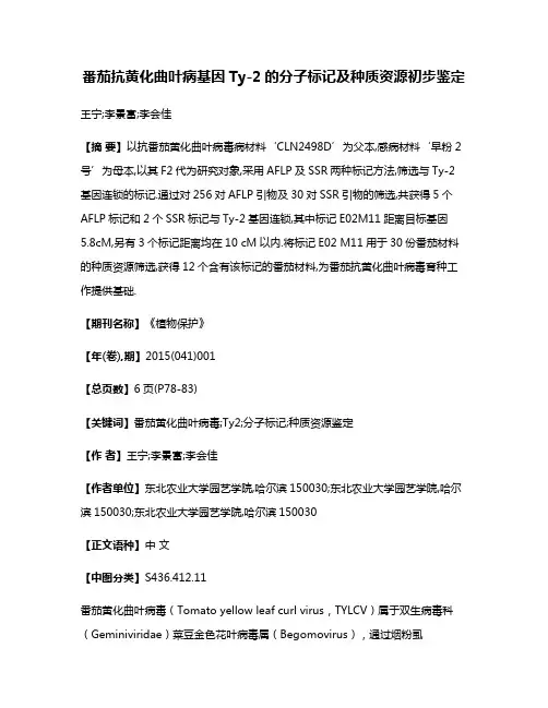 番茄抗黄化曲叶病基因Ty-2的分子标记及种质资源初步鉴定