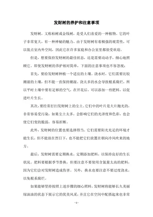 发财树的养护和注意事项