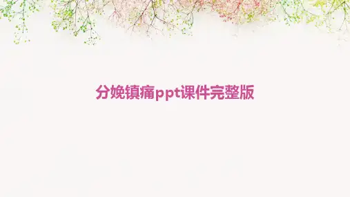 分娩镇痛ppt课件完整版