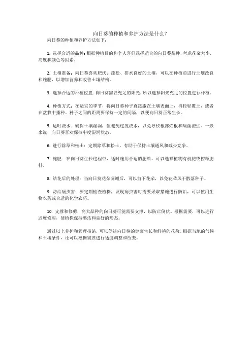 向日葵的种植和养护方法是什么
